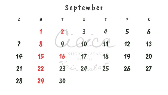 白 黒 シンプル ミニマリスト ライン かっこいい 2025年 カレンダー - 9