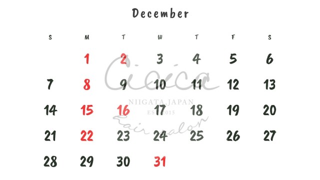 白 黒 シンプル ミニマリスト ライン かっこいい 2025年 カレンダー - 12